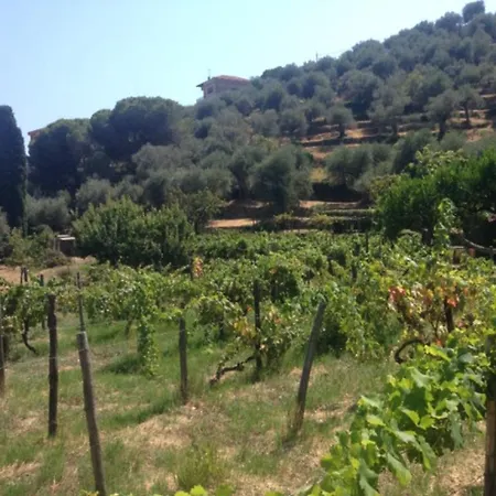 Villetta Villa Imperia